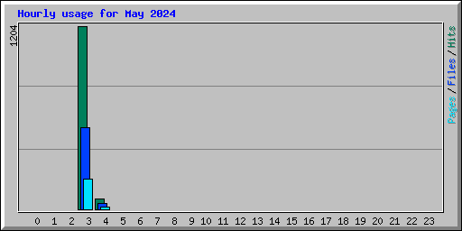 Hourly usage for May 2024