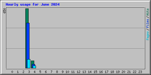 Hourly usage for June 2024