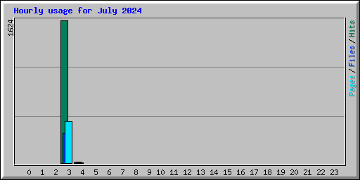 Hourly usage for July 2024